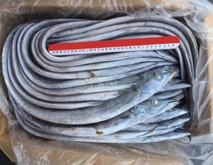 Quality Frozen Ribbon Fish from a leading seafood exporter