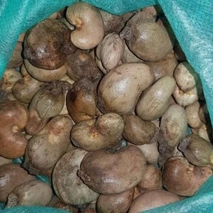 Raw cashew nuts wholesale / raw cashew nuts in shell /raw cashew nut fob price per metric ton