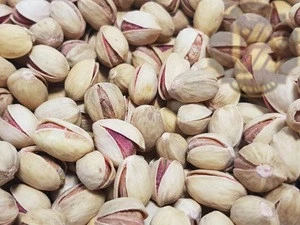 Raw Pistachio Nuts Available for sale