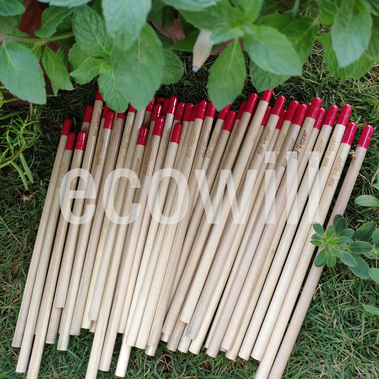 Red Eco Friendly Wood  Pencil