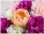 Import roll up artificial silk rose flower wall backdrop panel for decoration from China