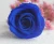 Import Romantic preserved  Flower Luxurious white flower Rose with glitter  for Wedding Decoration from China