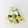 S11213B Toddler Infant Kids Baby Girls Summer Dress Wedding Tutu Dresses