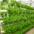 Import Sainpoly nft hydroponic growing systems greenhouse complete hydroponic system nft for lettuce indoor growing system from China