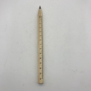 Scale pencil,novelty pen for souvenirs and promotions