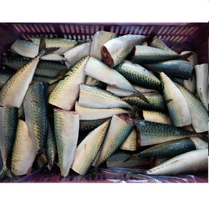 Sea Food Supply Pacific Mackerel HG