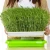 Import Seed Sprouter Tray BPA Free PP Soil-Free Big Capacity Healthy Wheatgrass Grower Sprouting Container Kit with Lid from China