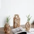 Import Shengqu decorative natural wood stand plant table glass test tube flower hydroponic vase for home decor from China