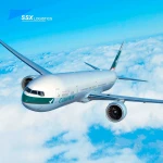 Shenzhen to Cairo Egypt air parcel shipment  air freight agent with DHL Oman international shipping charges