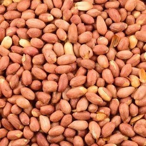 Shifa Roasted Peanuts - Peanut Kernels - Good Quality - Origin Turkey