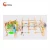 Import Shopping mall sports climbing wall  rope course park equipment from China