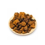 siberian chaga mushroom dried