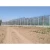 Import Sophisticated Technology Commercial Glass Greenhouse Glass Green House Greenhouses from China
