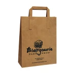 Sophisticated technology Recycled Brown Krafts Paper Bag For Gift