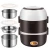 Stainless Steel 2/3 Layers Mini Electric Rice Cooker Steamer Portable Meal Thermal Heating Lunch Box Food Container Warmer