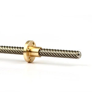 stock stainless steel lead screw TR10*2 diameter 10mm length 600mm with brass nut