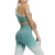 Import Stylish Gradient High Waist Butt Lift Seamless Activewear Sport Wears Fitness Yoga Wear Set from China