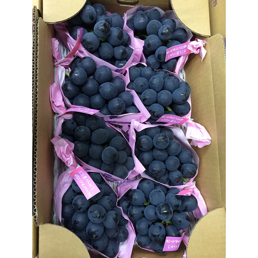 Superior purple grapes with high nutritional value in bulk