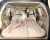 Import SUV Air Mattress Car Air Mattress Travel Inflatable Mattress Camping Air Bed Dedicated Mobile Cushion from China