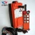 Import Telecontrol Wireless 48V 65V 110V 220V 380V Radio Remote Control for Crane from China