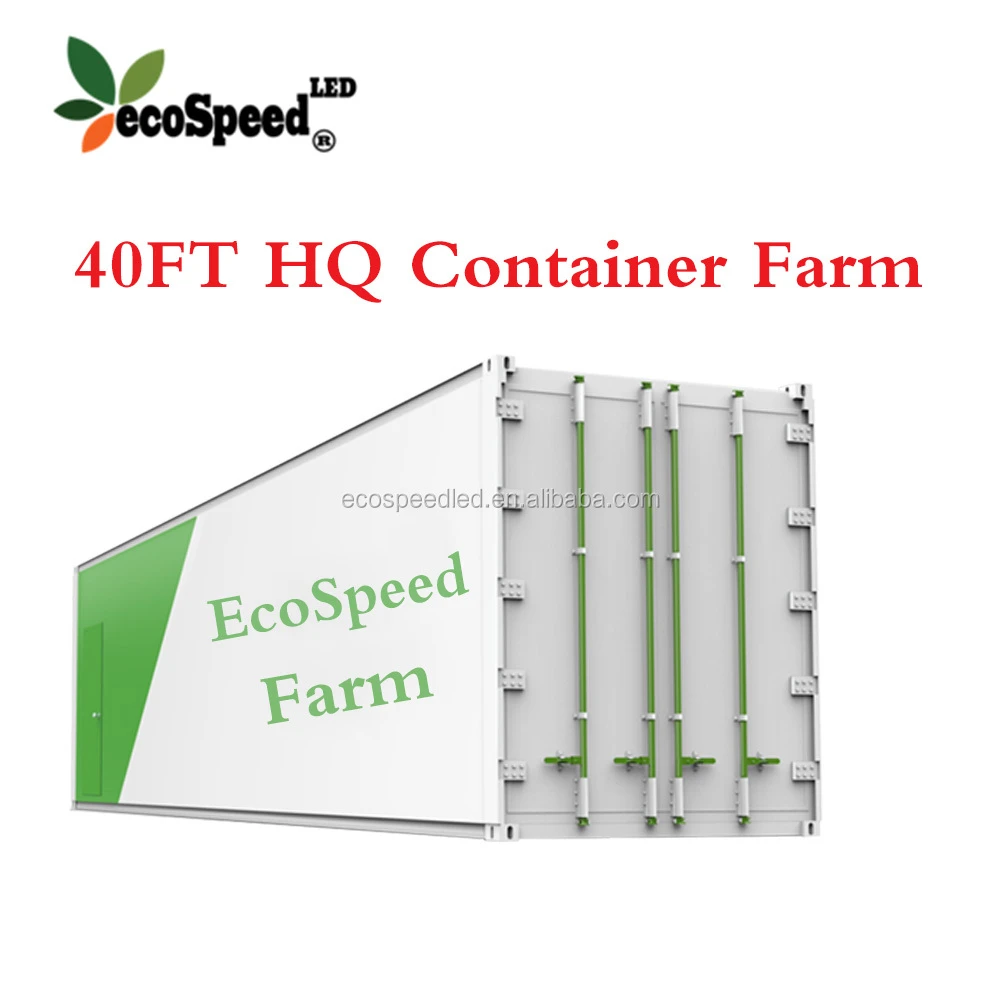 Top designed 40ft HQ fresh vegetables growing hydroponic Shipping Container Plant Factory for lettuce