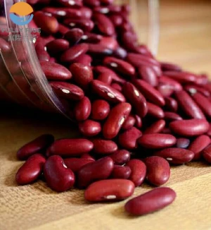 Top Quality Canned Red Kidney Beans Supplier
