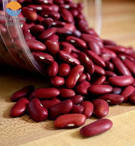 Top Quality Canned Red Kidney Beans Supplier