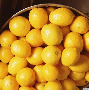Top Quality Citrus Fresh Seedless Lemon & Limes