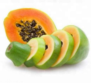 top quality organic papaya powder 100%pure nature