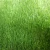 Import Types of ornamental plants synthetic lawn melbourne from China