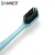 Import Ultra Soft Black Charcoal Bristles,Environmental Biodegradable Wheat Straw Toothbrush,with travel toothbrush case from China
