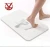 Import Ultra strong water absorption no slip antibacterial diatomite bath mat from China