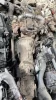 Used Qd32/Qd32t Complete Engine Assy for Pickup Engine