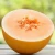 Import vegetable cantaloupe  hybrid sweet hami melon seeds from China