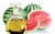 Import Watermelon seed carrier oil from India