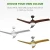 Import White color plastic blade mountain air electric ceiling fan price in india from China