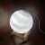 Import White humidifier pvc pp plastic Night Light Home Decor Creative Gift Rechargeable 3d Print Led Moon Light Lamp from China
