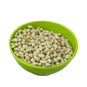 white kidney beans / butter bean / white bean Wholesale supplier 100% High quality cheap rate Bulk Quantity