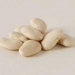 white kidney beans / butter bean / white bean