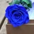 Import Wholesale Eternal Flower Preserved Rose Long Stem Rose Preserved from China