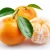 Import Wholesale Fresh VALENCIA Orange/ NAVAL ORANGES /   Sweet Orange ready for Export from South Africa