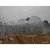 Import Wholesale High Quality Single-span Vegetables Low Cost 8x30m Green House from China