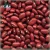 Import Wholesale new arrival healthy red and white kidney beans for sale from China