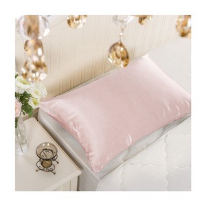 Wuxi&#39;s Largest Home Textile Company Custom 19momme 100% Mulberry Pink Silk Pillow Case With Hidden Zipper
