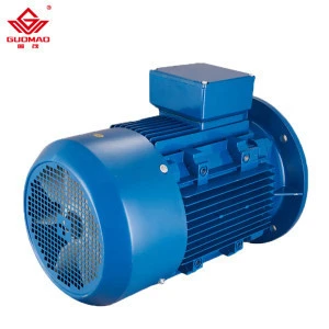 Y2/Y3 Highly Efficient Induction Electric AC Motor