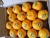 Import Citrus orange from Pakistan