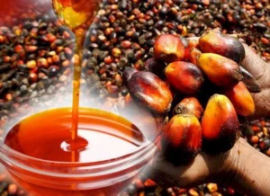 REFINED, BLEACHED & DEODORIZED (RBD) PALM OIL