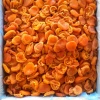 Dried Apricot Kernel bitter and Sweet Apricot Kernel Low Price