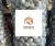 Import Premium Export Quality White Garlic Bulbs from China