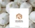 Import Premium Export Quality White Garlic Bulbs from China